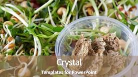  Presentation with health diet - Colorful PPT theme enhanced with microgreens salad with green fresh shoots health and diet backdrop and a coral colored foreground