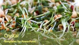  Presentation with health diet - Amazing PPT theme having microgreens salad with green fresh shoots health and diet backdrop and a tawny brown colored foreground