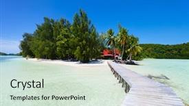  Presentation with beach palm tree wedding - Amazing PPT theme having micronesia island - beautiful tropical beach with palm backdrop and a soft green colored foreground