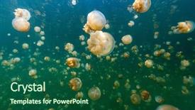  Presentation with jellyfish - Colorful theme enhanced with micronesia island - underwater photo of endemic golden backdrop and a forest green colored foreground