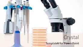  Presentation with food body - PPT layouts consisting of microscope-petri-dishes-and-pipette background and a lemonade colored foreground