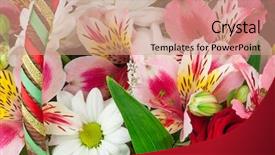  Presentation with daisy - Cool new slide set with blurred image of shopping mall and people backdrop and a light blue colored foreground