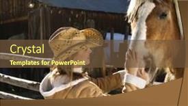  Presentation with horse - Amazing slides having mid-adult-caucasian-female-petting backdrop and a tawny brown colored foreground