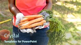  Presentation with social isolation - Audience pleasing slide deck consisting of mid-section-of-an-african backdrop and a ocean colored foreground