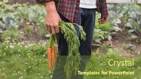  Presentation with vegetable garden - Slides featuring mid-section-of-man-holding background and a tawny brown colored foreground