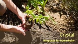  Presentation with garden - Colorful slide deck enhanced with mid-section-of-woman-planting backdrop and a tawny brown colored foreground