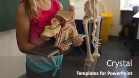  Presentation with school elementary - Slide set featuring mid-section-schoolgirl-holding-anatomical background and a tawny brown colored foreground