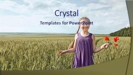  Presentation with red hibiscus rosa sinensis flower - Slide set featuring midday - girl with red tulip flowers background and a  colored foreground