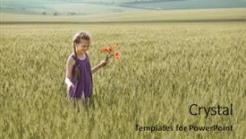  Presentation with red hibiscus rosa sinensis flower - Cool new slide deck with midday - girl with red tulip flowers backdrop and a  colored foreground