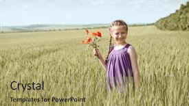  Presentation with red hibiscus rosa sinensis flower - Slide deck with midday - girl with red tulip flowers background and a yellow colored foreground
