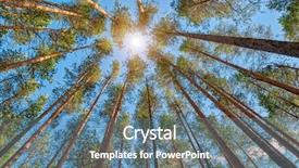  Presentation with pine forest - Slide deck with midday sun in bright pine background and a ocean colored foreground