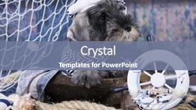  Presentation with puppy - Presentation theme having middel's schnauzer puppy captain background and a seafoam green colored foreground