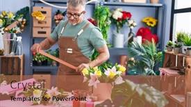  Presentation with grey - Presentation theme featuring middle-age-grey-haired-man background and a  colored foreground