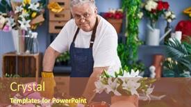  Presentation with stem - Presentation theme enhanced with middle-age-grey-haired-man background and a red colored foreground