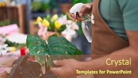  Presentation with grey plastics - Slide deck with middle-age-grey-haired-man background and a red colored foreground