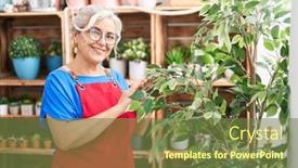  Presentation with binder - PPT layouts enhanced with middle-age-grey-haired-woman background and a tawny brown colored foreground