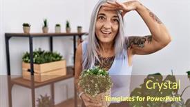  Presentation with hand holding plant - PPT theme featuring middle-age-grey-haired-woman background and a  colored foreground
