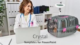  Presentation with veterinary - Presentation theme featuring middle-age-hispanic-woman-wearing background and a light gray colored foreground