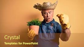  Presentation with hand holding plant - Presentation design consisting of middle-age-hoary-farmer-man background and a tawny brown colored foreground