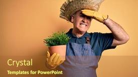  Presentation with hand holding plant - Cool new PPT theme with middle-age-hoary-farmer-man backdrop and a tawny brown colored foreground