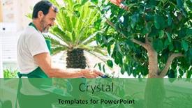  Presentation with beard - Cool new presentation design with middle-age-man-with-beard backdrop and a ocean colored foreground