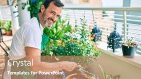  Presentation with beard - Presentation theme enhanced with middle-age-man-with-beard background and a coral colored foreground