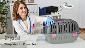  Presentation with animal health - Theme having middle-age-veterinarian-woman-checking background and a light gray colored foreground