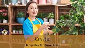  Presentation with diffuser - PPT theme consisting of middle-age-woman-florist-using background and a gold colored foreground