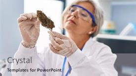  Presentation with scientist - PPT theme consisting of middle-age-woman-wearing-scientist background and a light gray colored foreground