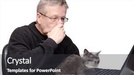  Presentation with dog and cat on computer - Slide set having middle aged caucasian man deeply background and a  colored foreground
