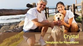  Presentation with pet grooming small dog - Audience pleasing PPT theme consisting of sporty middle aged couple backdrop and a tawny brown colored foreground