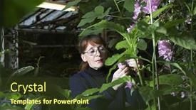  Presentation with greenhouse - Theme featuring middle aged woman examining flowers in greenhouse background and a tawny brown colored foreground