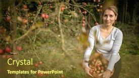  Presentation with aged - Presentation design enhanced with middle-aged-woman-picking-apples background and a tawny brown colored foreground
