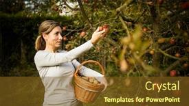  Presentation with smell - Presentation theme with middle-aged-woman-picking-apples background and a tawny brown colored foreground