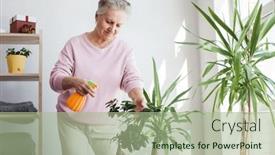  Presentation with water plant - Slides enhanced with middle-aged-woman-sprays-plants and a mint green colored foreground