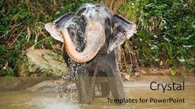  Presentation with sri lanka dunhinda falls - Cool new slides with middle of the jungle backdrop and a coral colored foreground