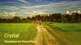  Presentation with paddy field - PPT layouts with middle of the rice field background and a tawny brown colored foreground