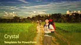  Presentation with rice field - PPT theme featuring middle of the rice field background and a tawny brown colored foreground