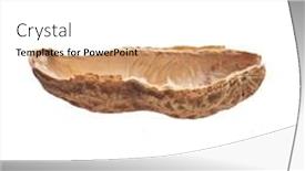  Presentation with peanut shell - Audience pleasing slides consisting of middle-peanut-shell-isolated backdrop and a white colored foreground