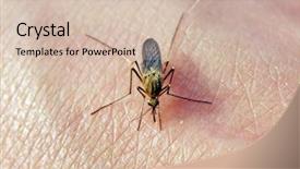  Presentation with medical robot hand and person - PPT theme featuring midge on hand background and a soft green colored foreground