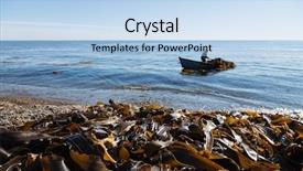  Presentation with seaweed - PPT theme having collage of summer beach images  background and a teal colored foreground.