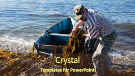  Presentation with sea shore - PPT layouts enhanced with cognac - glass cup with alcohol background and a light gray colored foreground