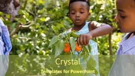  Presentation with organic farming - Presentation consisting of midsection-of-african-american-grandfather background and a tawny brown colored foreground