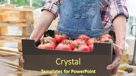  Presentation with forklift - Audience pleasing presentation theme consisting of midsection of farmer with tomatoes in crate against forklift backdrop and a tawny brown colored foreground