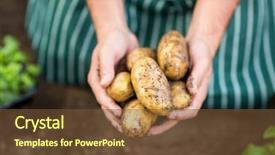  Presentation with greenhouse - Audience pleasing theme consisting of midsection of gardener harvesting potatoes backdrop and a tawny brown colored foreground