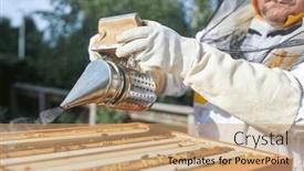  Presentation with male nurses day - Slide set featuring midsection-of-male-apiarist-holding background and a coral colored foreground