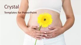  Presentation with pregnant woman - Beautiful theme featuring midsection of pregnant woman touching her stomach while holding yellow flower against white background backdrop and a lemonade colored foreground