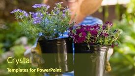  Presentation with flower pots - Beautiful PPT theme featuring midsection of senior woman holding flower pots at backyard backdrop and a tawny brown colored foreground