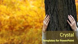  Presentation with human - Colorful slides enhanced with mighty men - human hands hugging tree backdrop and a  colored foreground