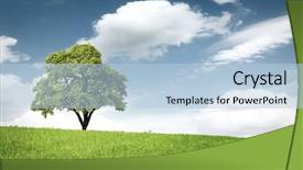  Presentation with green pharmaceuticals - Cool new PPT theme with mighty oak tree - green landscape backdrop and a light blue colored foreground